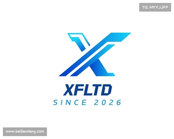 了解XFLTD